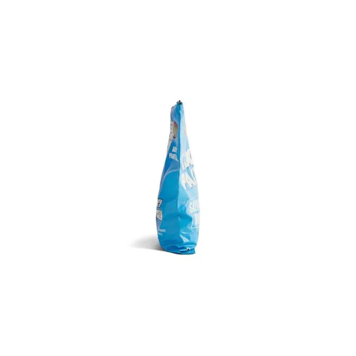 Chips Bag In Blue WomenMen Balenciaga Mini Bags