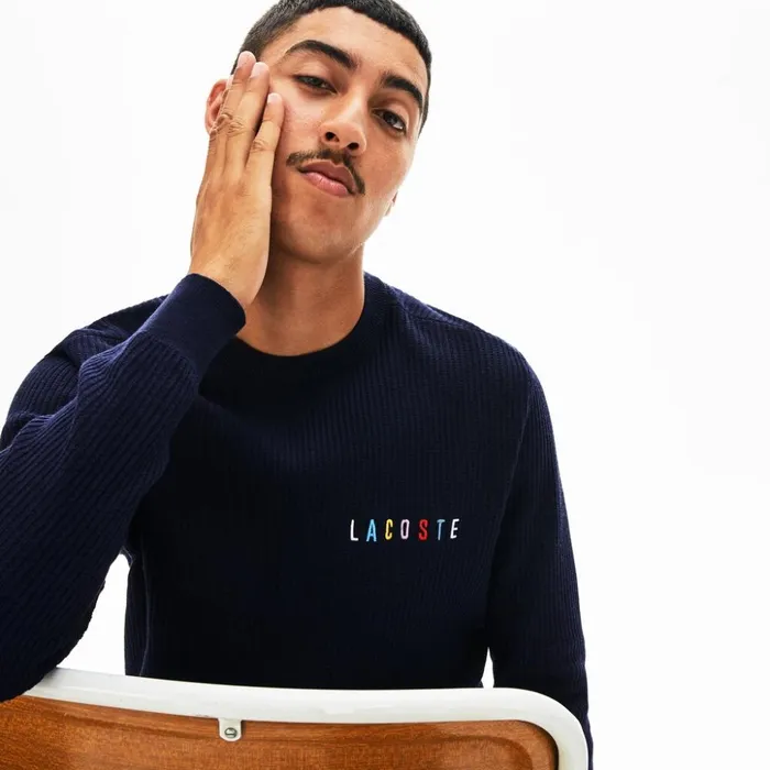 Lacoste Crewneck Embroidered Cotton Blend Sweater Navy Blue Mens Sweaters Gift 4 You