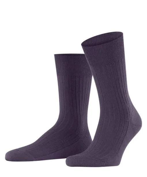 Men Bristol Pure Men Socks Amethyst FALKE Socks