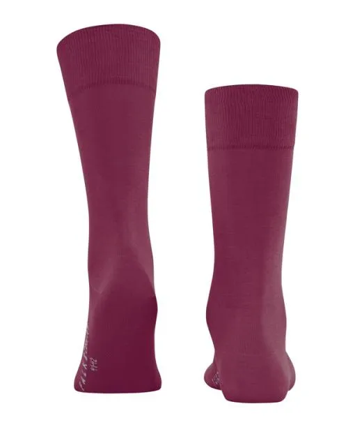 Men Cool 247 Men Socks Red Plum FALKE Socks