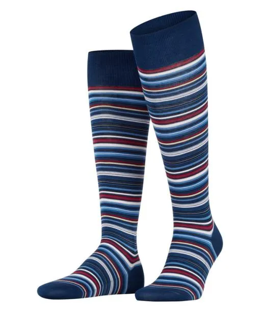 Men Microblock Men Kneehigh Socks Royal Blue FALKE Knee High Socks