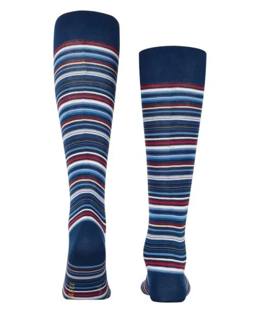 Men Microblock Men Kneehigh Socks Royal Blue FALKE Knee High Socks