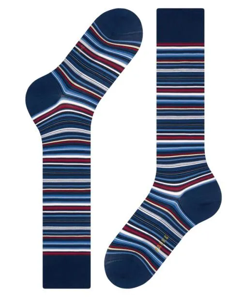Men Microblock Men Kneehigh Socks Royal Blue FALKE Knee High Socks
