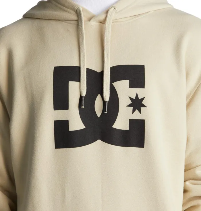 Sweatshirts and Hoodies Men DC Shoes DC Star Hoodie Overcast