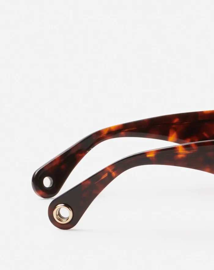 Women Sunglasses Lanvin Signature Sunglasses Havana