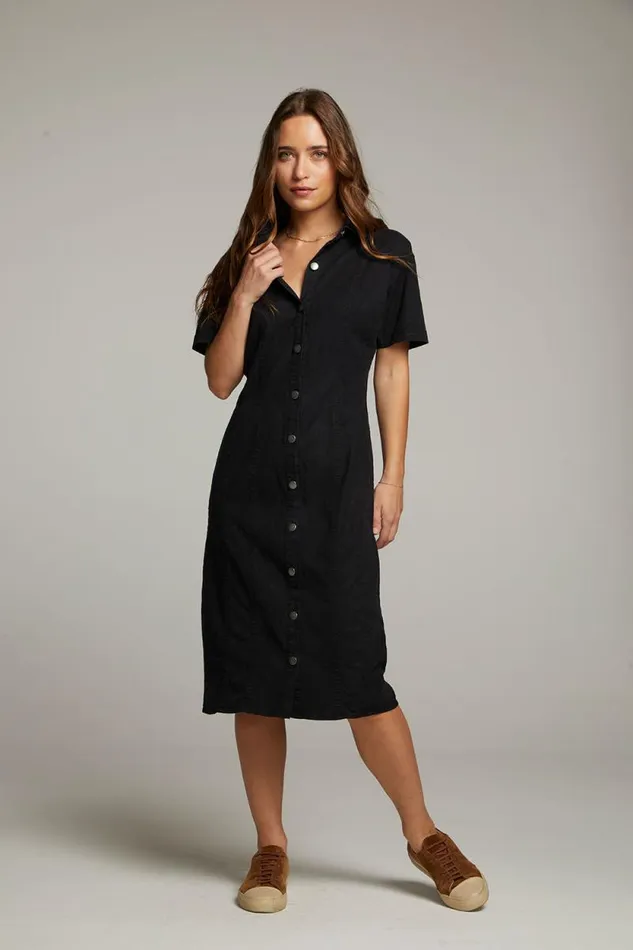 Womens Chaser Brand Dresses Rachelle Licorice Dress