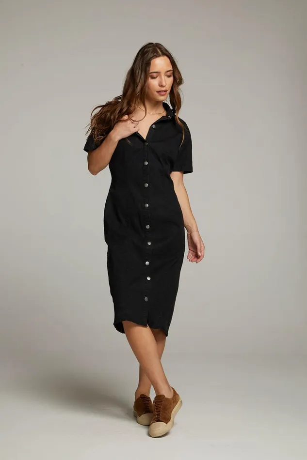 Womens Chaser Brand Dresses Rachelle Licorice Dress