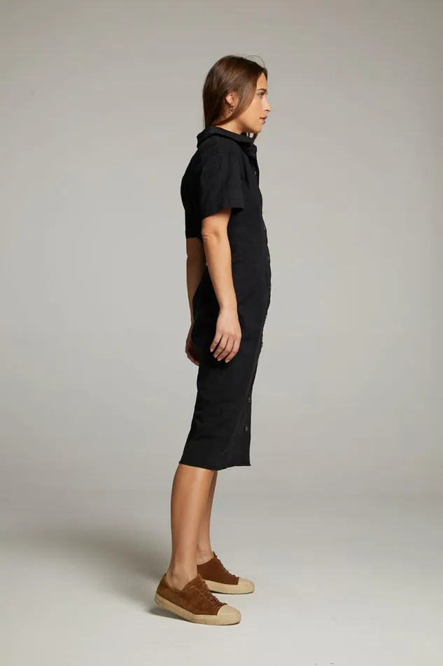 Womens Chaser Brand Dresses Rachelle Licorice Dress